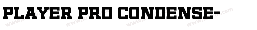 Player Pro Condense字体转换